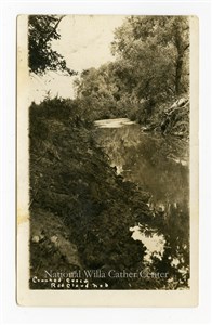 Image description is not available for PHO-264-539